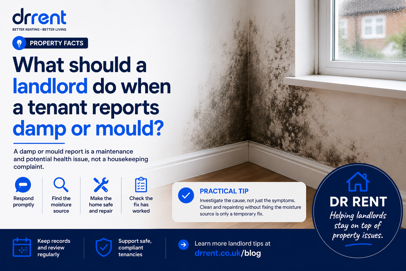 Landlord inspecting mould and damp staining around a window in a rented property